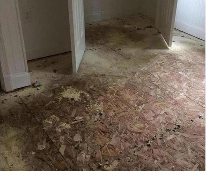 Flood damaged carpet soaked with dirt and water 