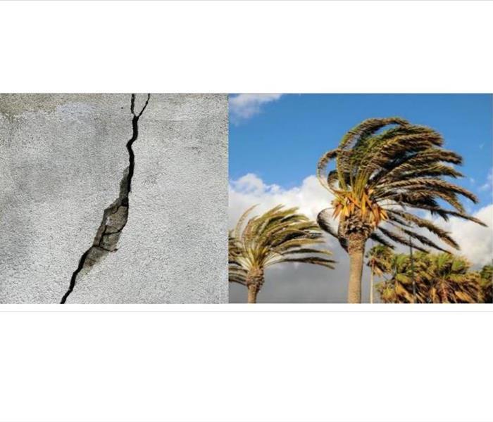 One side shows a crack in concrete flooring; the right side shows palm trees in heavy wind