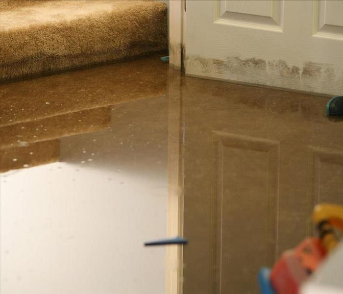 Basement showing flooding. 2 inches of standing water