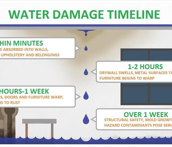 ceiling dripping water with a timeline on water damages. Within minutes, 1-2 Hours, 48hrs-1 week, over 1 week. Living room 