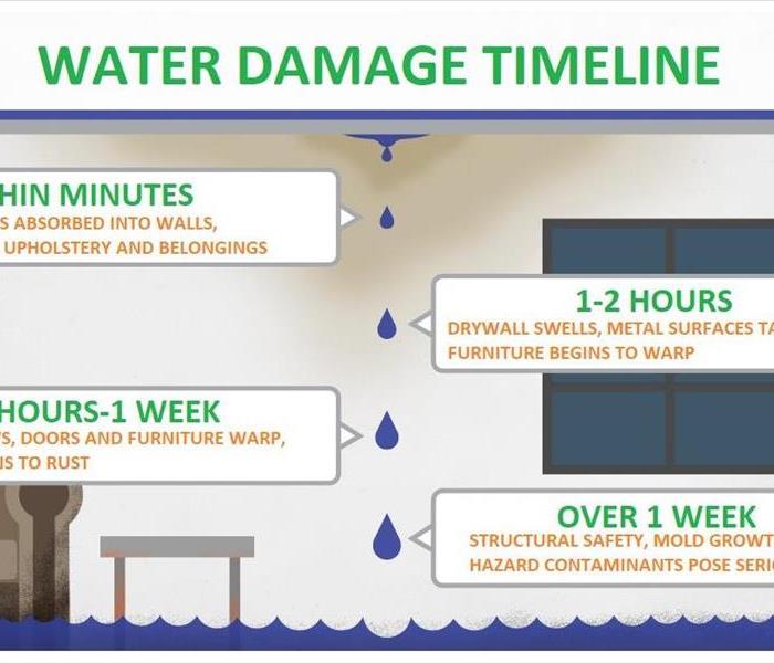 ceiling dripping water with a timeline on water damages. Within minutes, 1-2 Hours, 48hrs-1 week, over 1 week. Living room