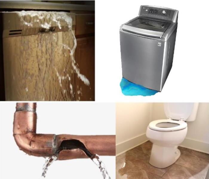 dishwasher overflowing, washing machine leak, pipe leak and toilet leak
