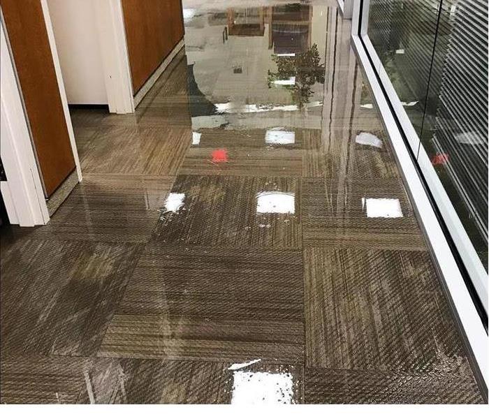 Flooded industrial carpet in a Ventura, CA office building