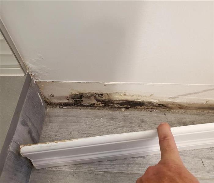 Mold growth behind baseboards.