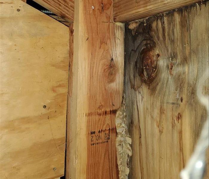 Close-up image of mold growth on a wall, showing dark patches and discoloration, likely caused by moisture or water damage.